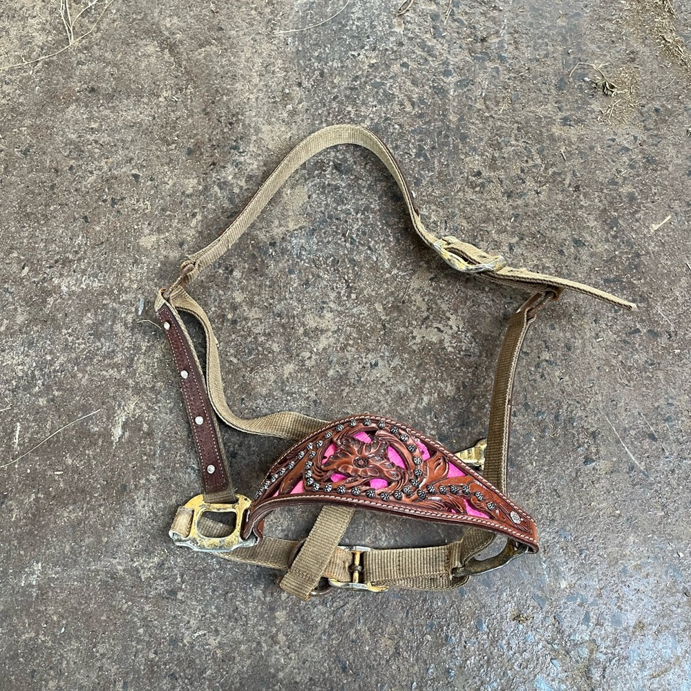 Brown and Pink Horse Halter with Gold Accents